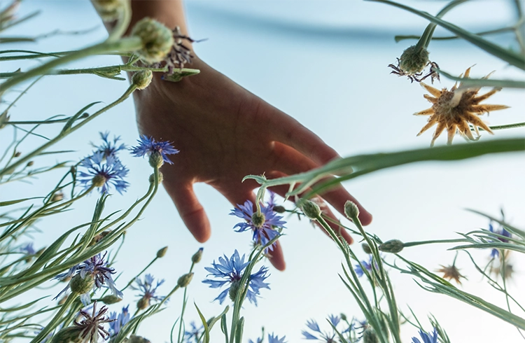 Soir & Matin | Des chaussons de qualité supérieures, respectueux de l'environnement et accessibles